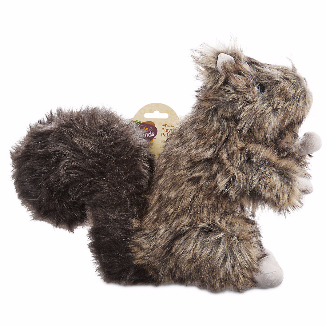 Squirrel Dog Toy